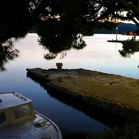 شقة Petkovic كوتشيشته