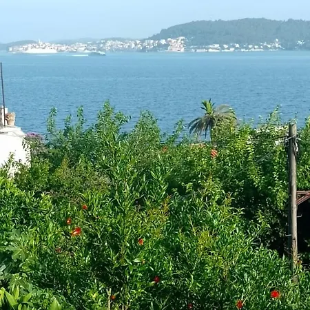 Petkovic Apartamento *