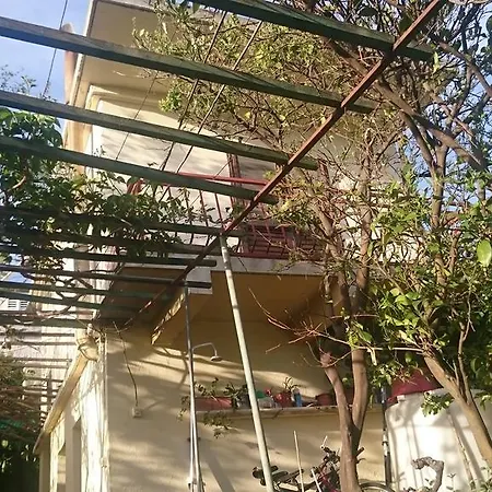 Petkovic * Kućište