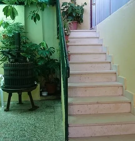 شقة Petkovic كوتشيشته