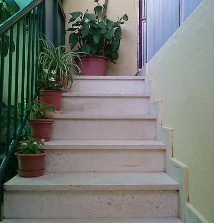 Apartamento Petkovic *