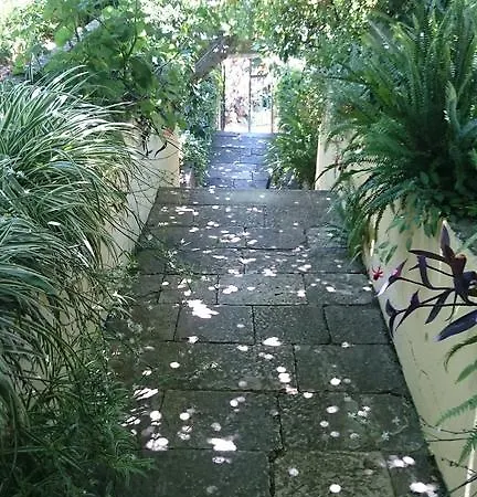 Apartamento Petkovic *