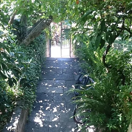 Apartamento Petkovic